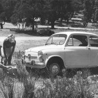 Coche Seat 600