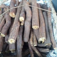 2. Palulú (paloduz, paliduz, palo-luz, palodul...)