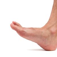 Dorsiflexión del pie