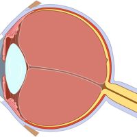 Ojo