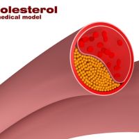 Colesterol