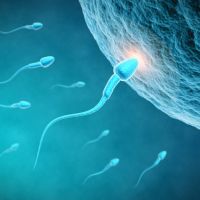 Acercamiento de espermatozoides