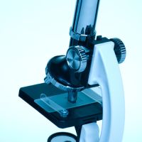 Microscopio
