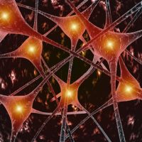 Células del cerebro