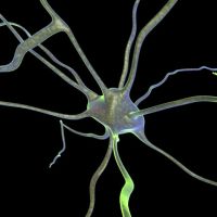 Neurona