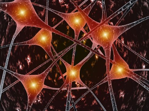 Células del cerebro