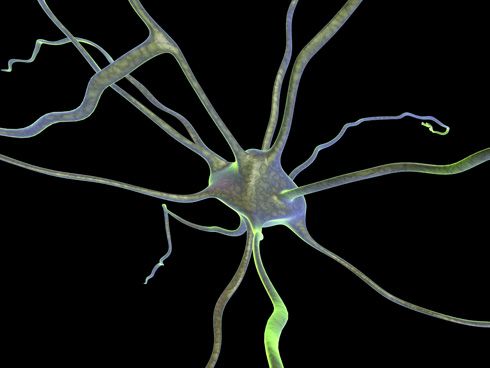 Neurona