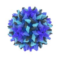 Hepatitis