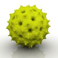 Herpes