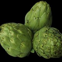 Alcachofa
