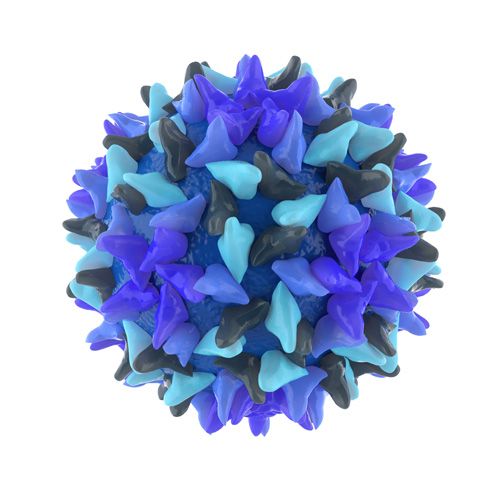 Hepatitis